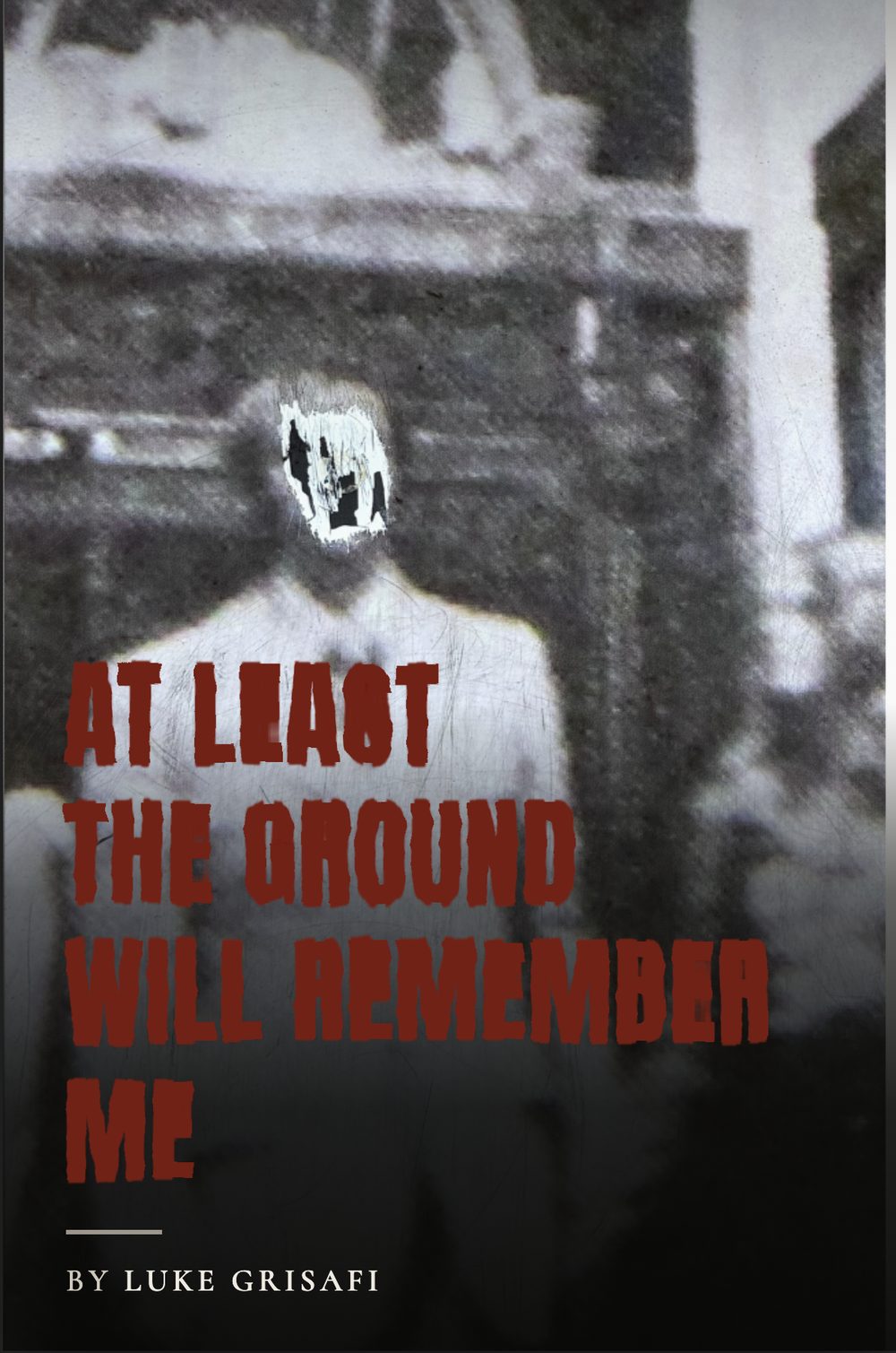 Cover of At Least the Ground Will Remember Me by Luke Grisafi