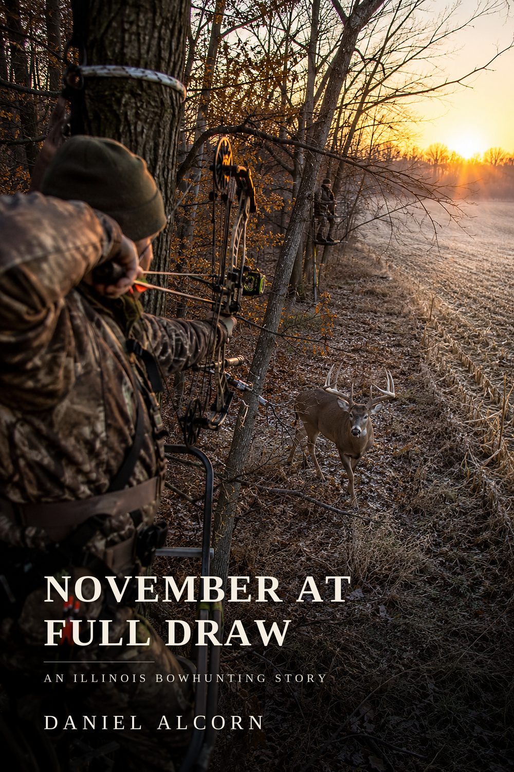 Cover of November at Full Draw: An Illinois Bowhunting Story by Daniel S. Alcorn